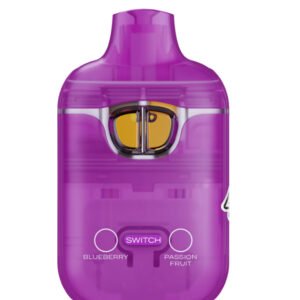 BOUTIQ Blueberry / Passion Fruit V3 – 1.0g