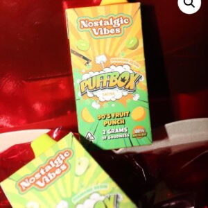 Nostalgic Vibes Disposable